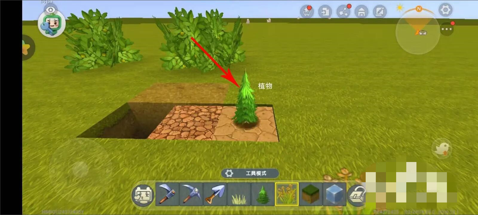 迷你世界的植物与作物怎么种植在土地中