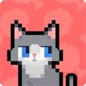 数猫猫