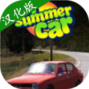 我的夏季汽车