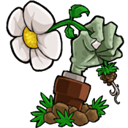 植物大战僵尸海克斯大乱斗版