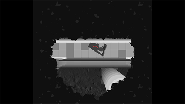 体内寄生虫2截图3