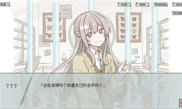 在标本箱中等待羽化