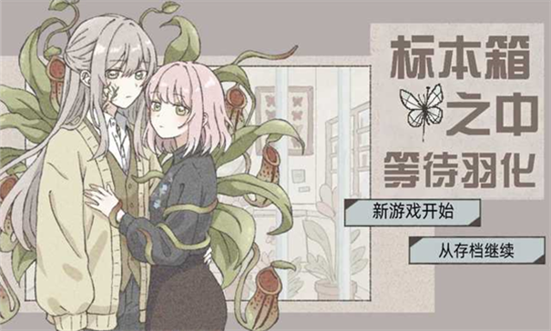 在标本箱中等待羽化截图3