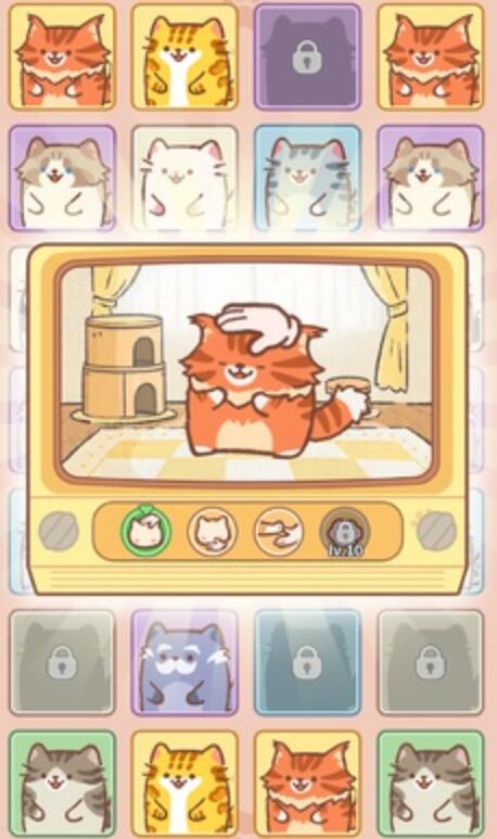 猫咖合趣截图3