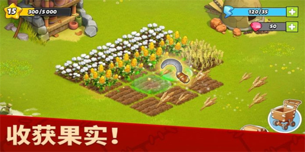 家庭岛农场截图1
