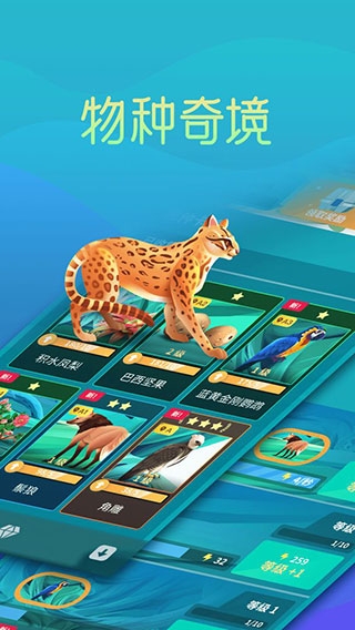 物种奇境截图3