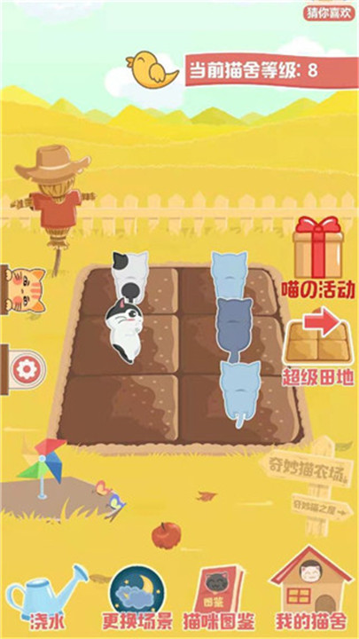 奇妙猫之家截图2
