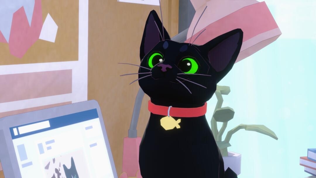 小猫咪大城市截图4
