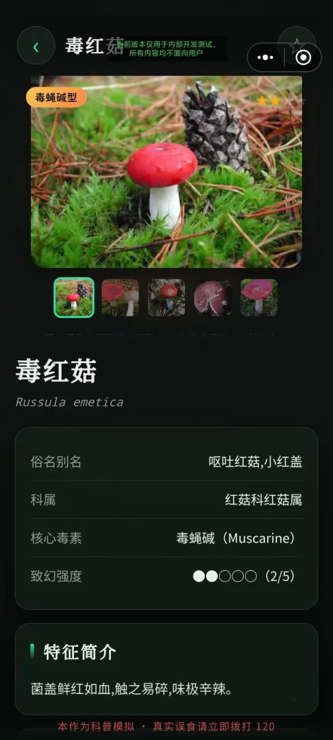毒蘑菇幻觉模拟器游戏截图2