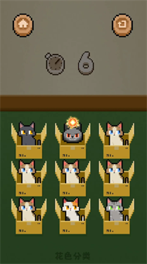 数猫猫截图2