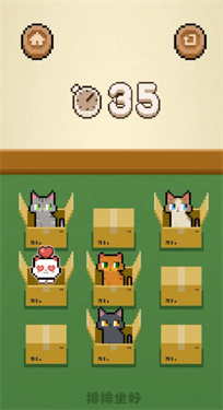 数猫猫截图3