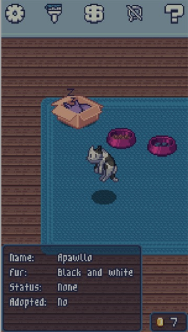 收养流浪猫截图2