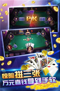 海南琼崖麻将安卓最新版截图1