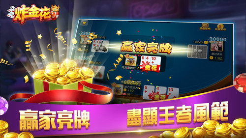 经典炸金花单机版安卓版截图3