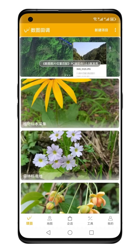 数图田调截图1