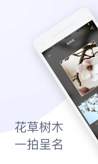 花伴侣截图4