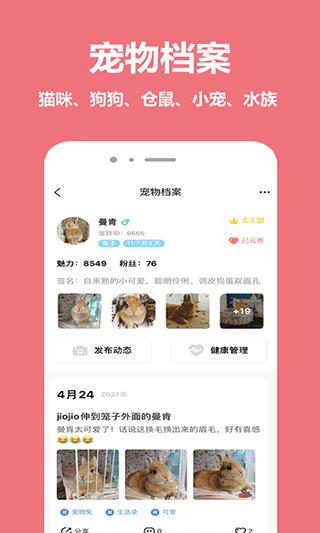 宠物王国截图3