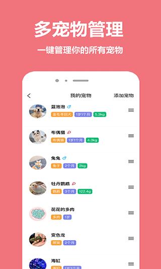 宠物王国截图5