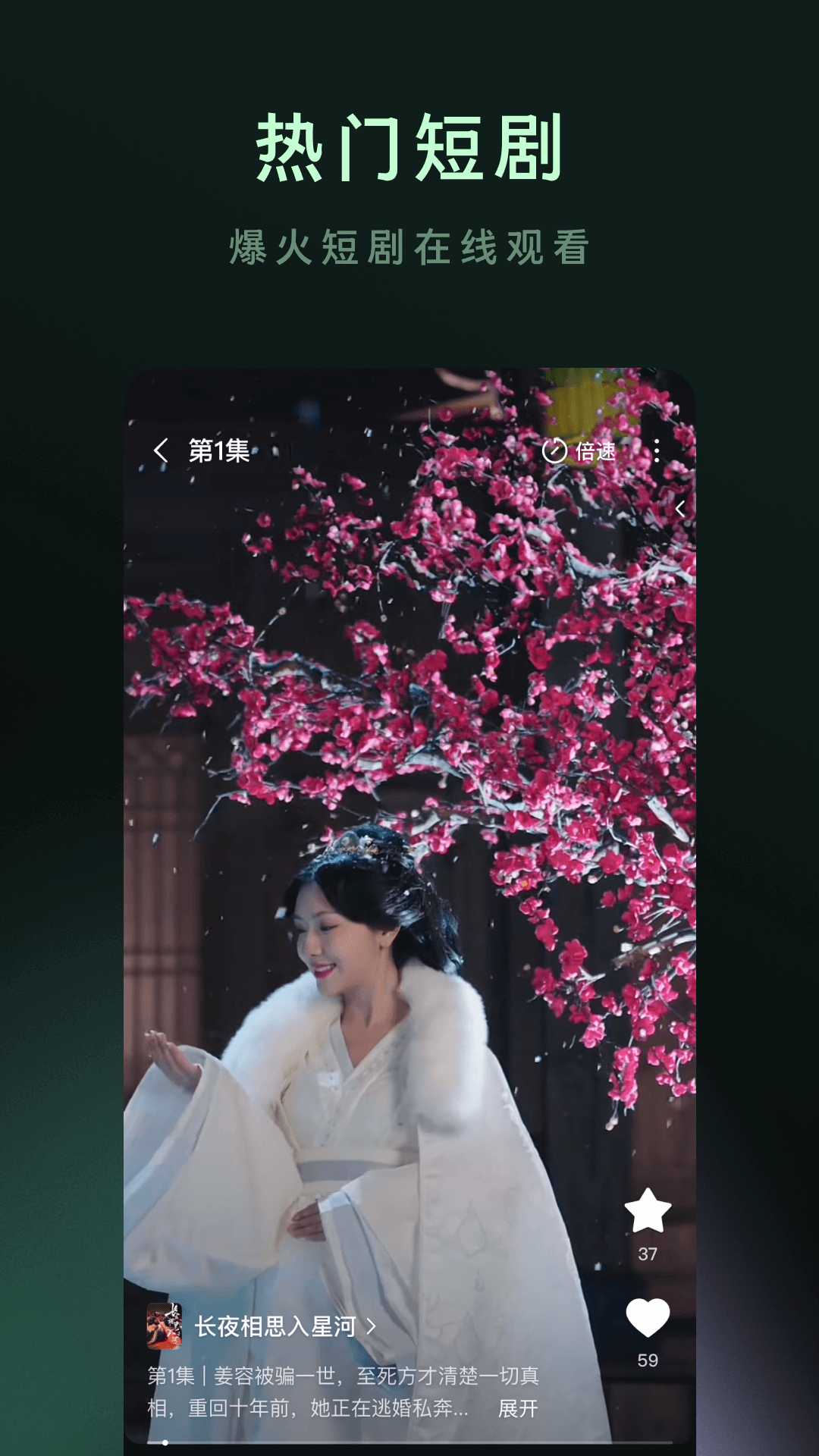 木叶免费短剧截图3