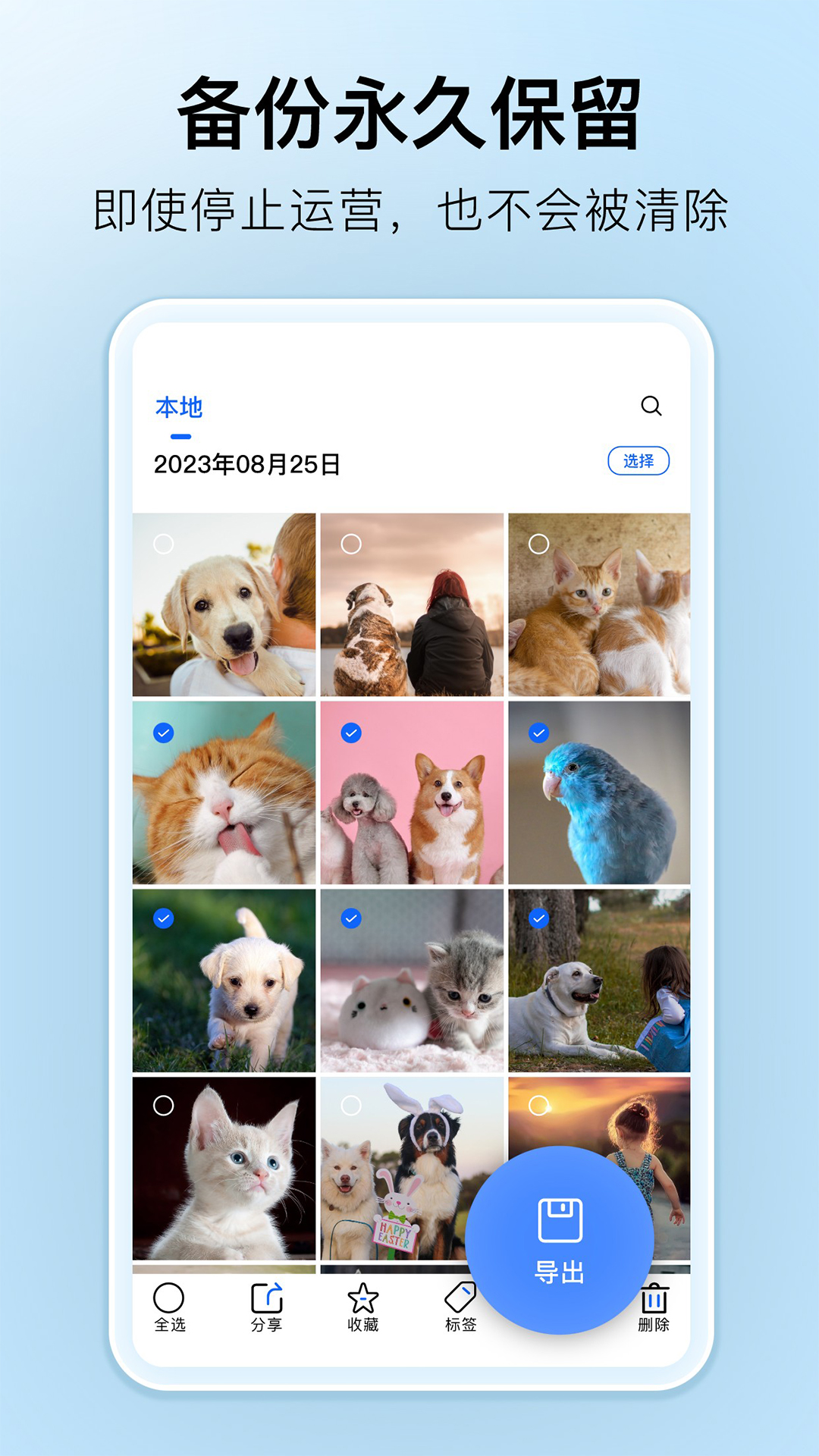 深林集影截图2