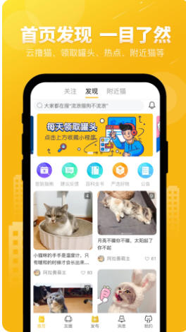 友猫截图3