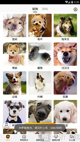 狗语翻译器截图1