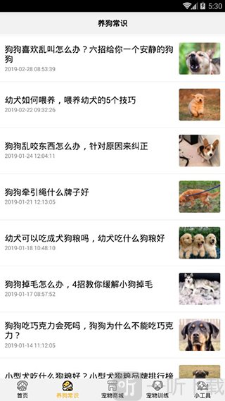 狗语翻译器截图3