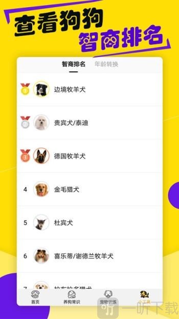 狗语翻译器截图5