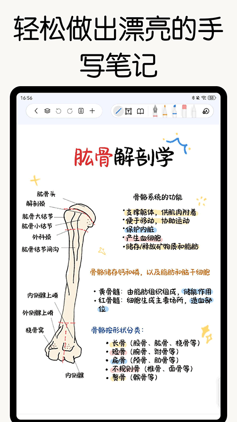 自由笔记截图1