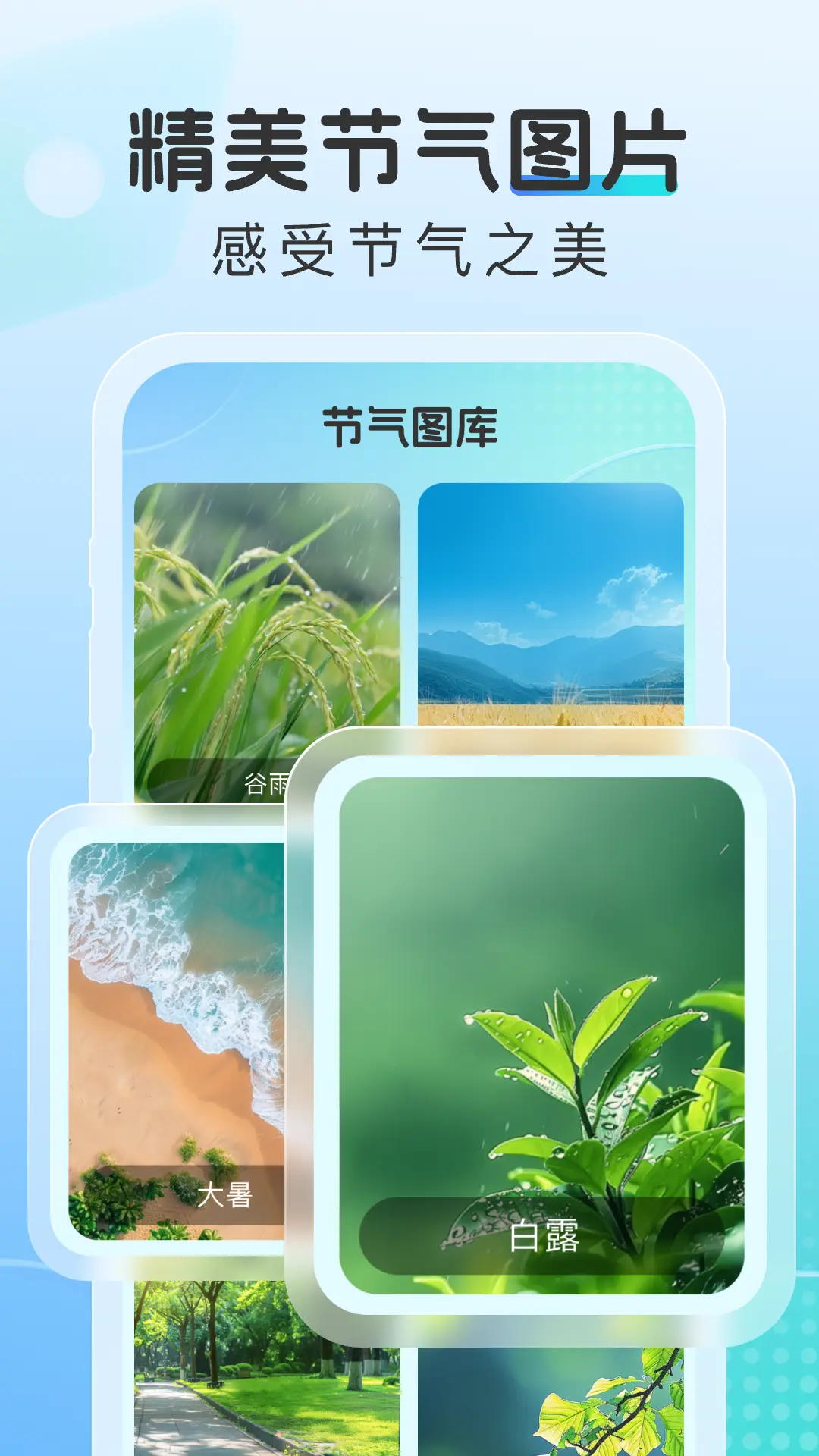 晴云指南截图4