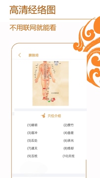 经络养生截图2
