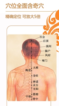 经络养生截图3