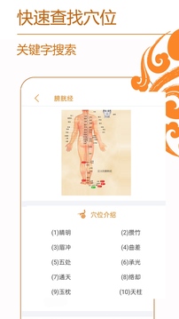 经络养生截图5