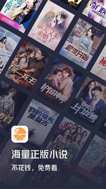 青橙小说截图4