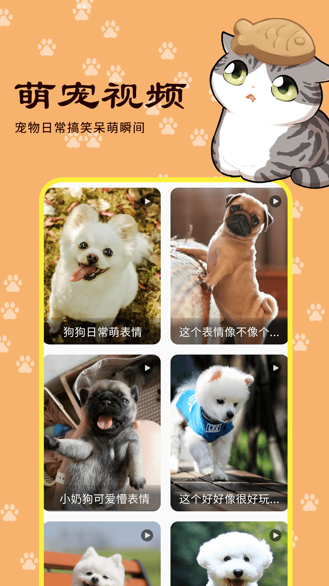 宠本本截图2