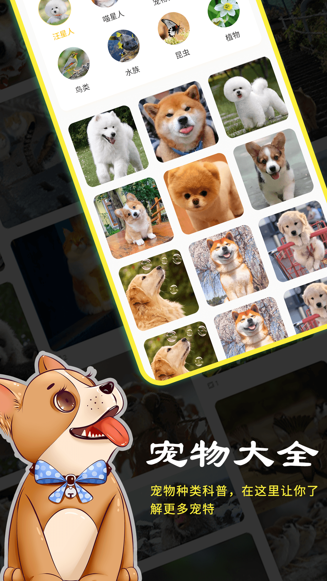 宠本本截图3