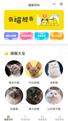 喵星百科截图2