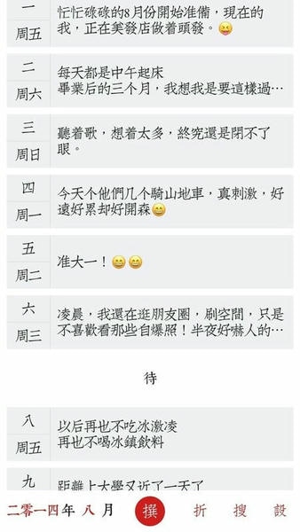 素记日记截图4