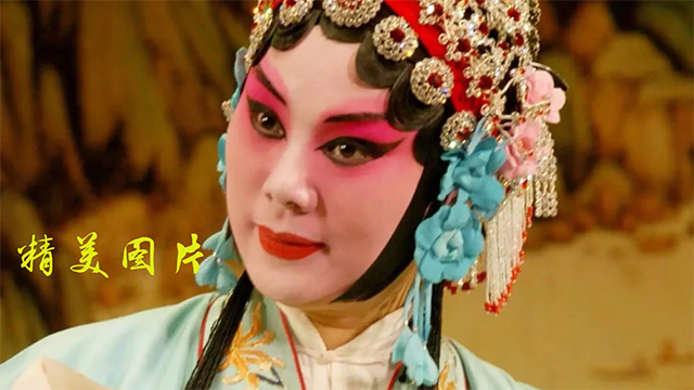 豫剧迷截图1
