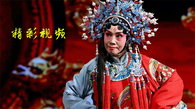 豫剧迷截图4