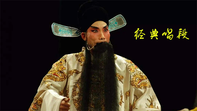 豫剧迷截图5
