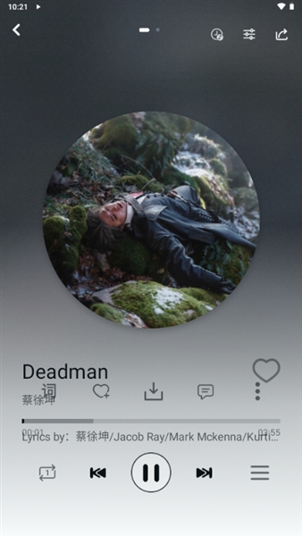LEMusic截图2